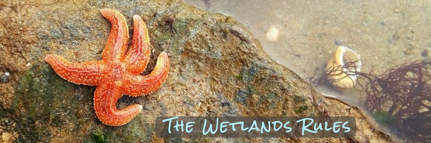 The Wetlands Rules-2