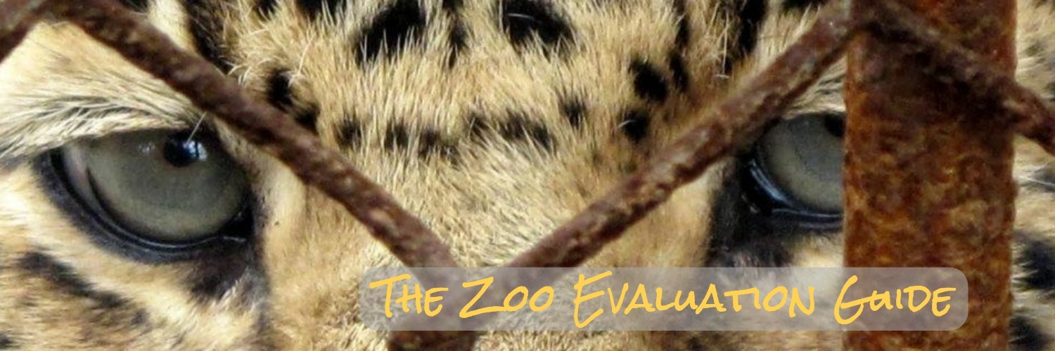 Zoo Eval Guide