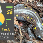 EwA Conservation Reports